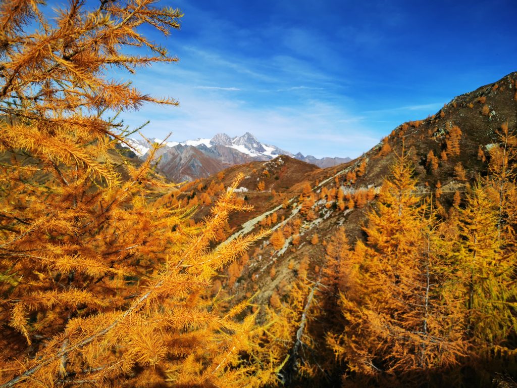 Herbst Wandern Virgen